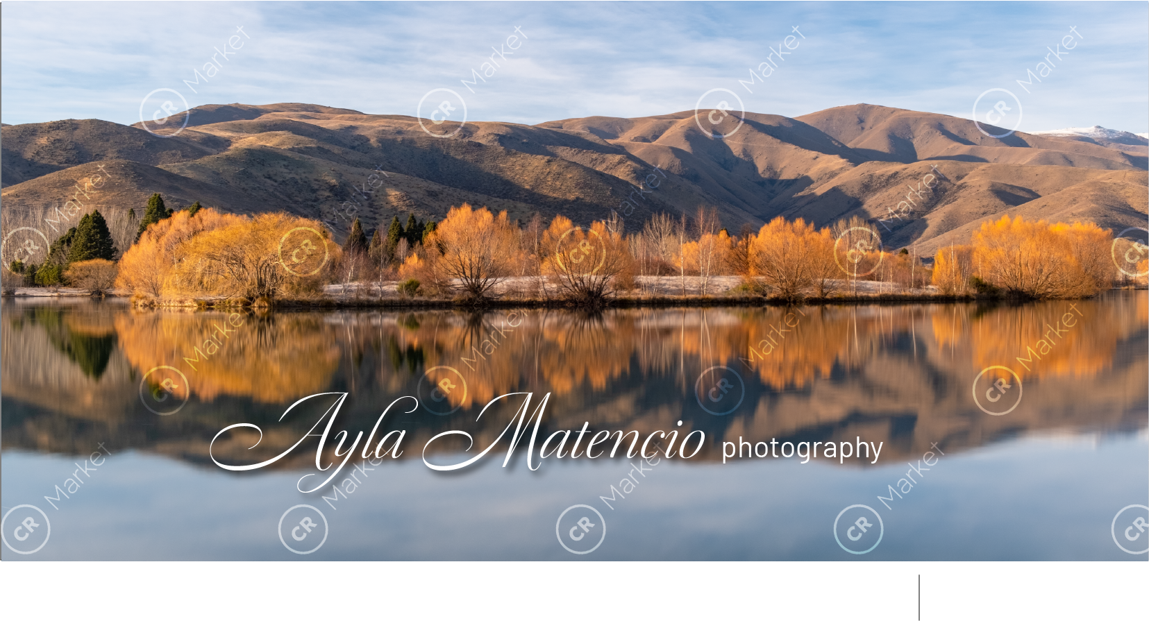 Ayla Matencio Photography